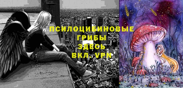 экстази Алексин