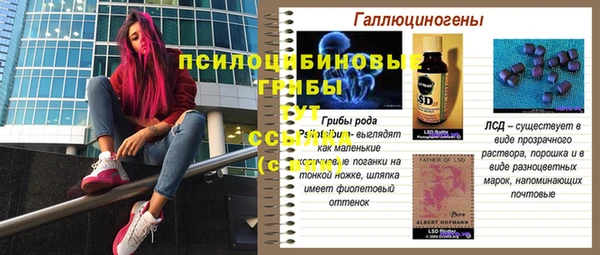 экстази Алексин