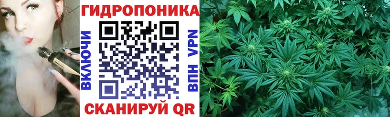 Бошки Шишки SATIVA & INDICA Рубцовск